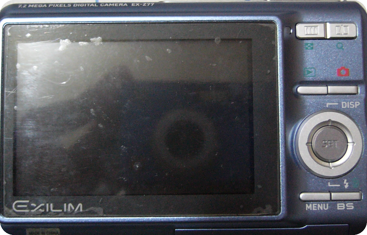 Sarah's digital camera